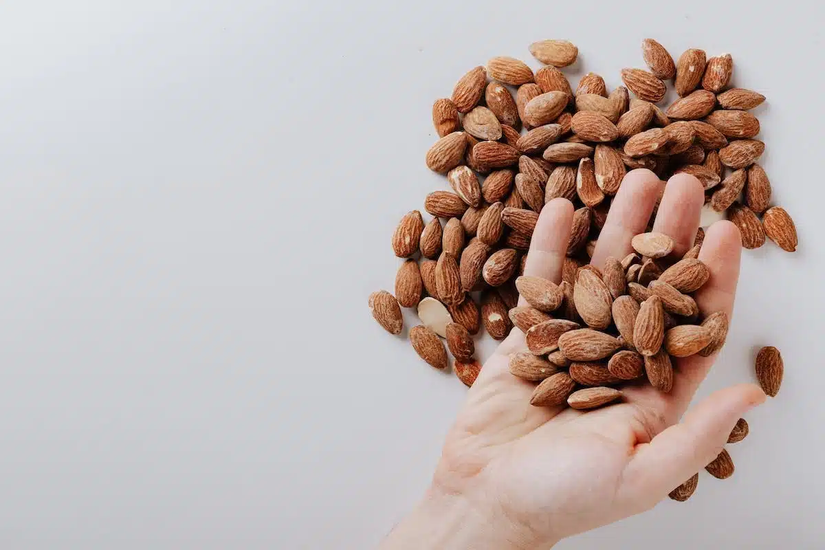 athlètes nutrition